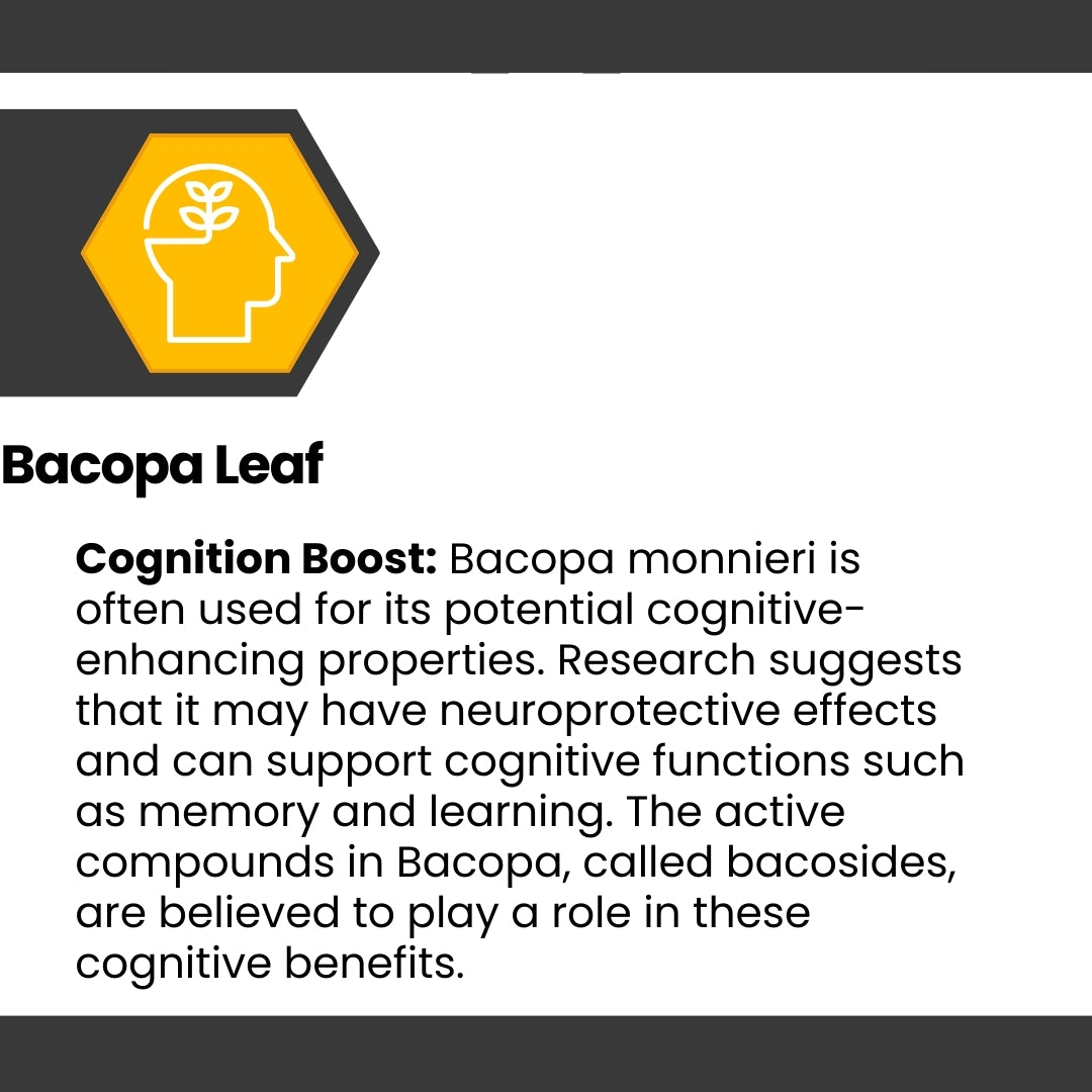 Cognisync Nootropic Brain Health Supplement, Cognitive Enhancement, Brain Fog Relief, Memory Support, Focus and Concentration, Smart Drug Alternative