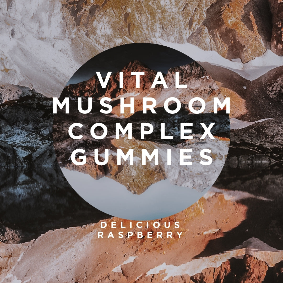 Vital Mushroom Complex Gummies, 10-Plex Mushroom, Antioxidant, Immune Fortifying, Gut-Health and Cognitive Clarity, Delicious Raspberry Flavor