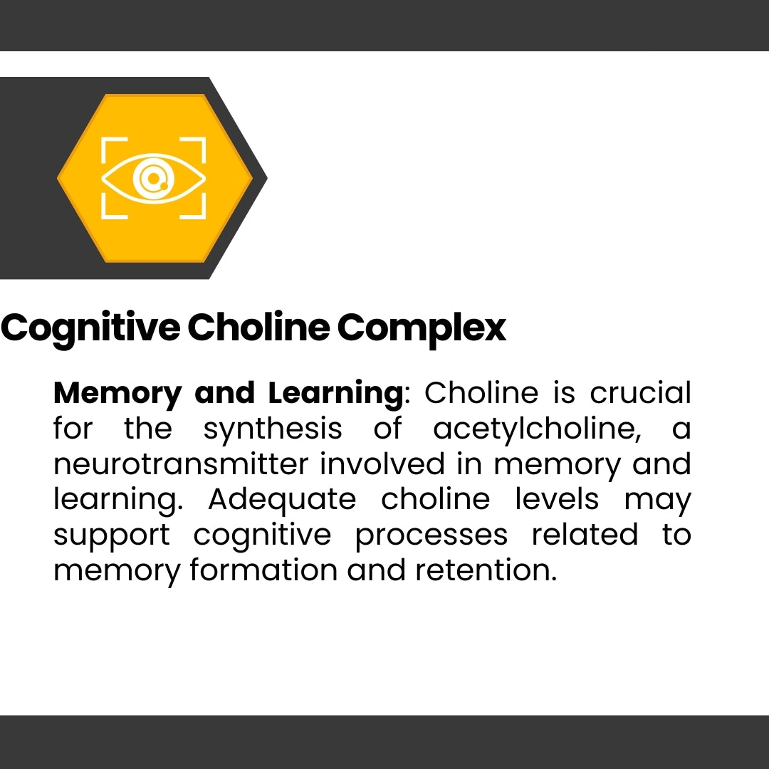 Cognisync Nootropic Brain Health Supplement, Cognitive Enhancement, Brain Fog Relief, Memory Support, Focus and Concentration, Smart Drug Alternative