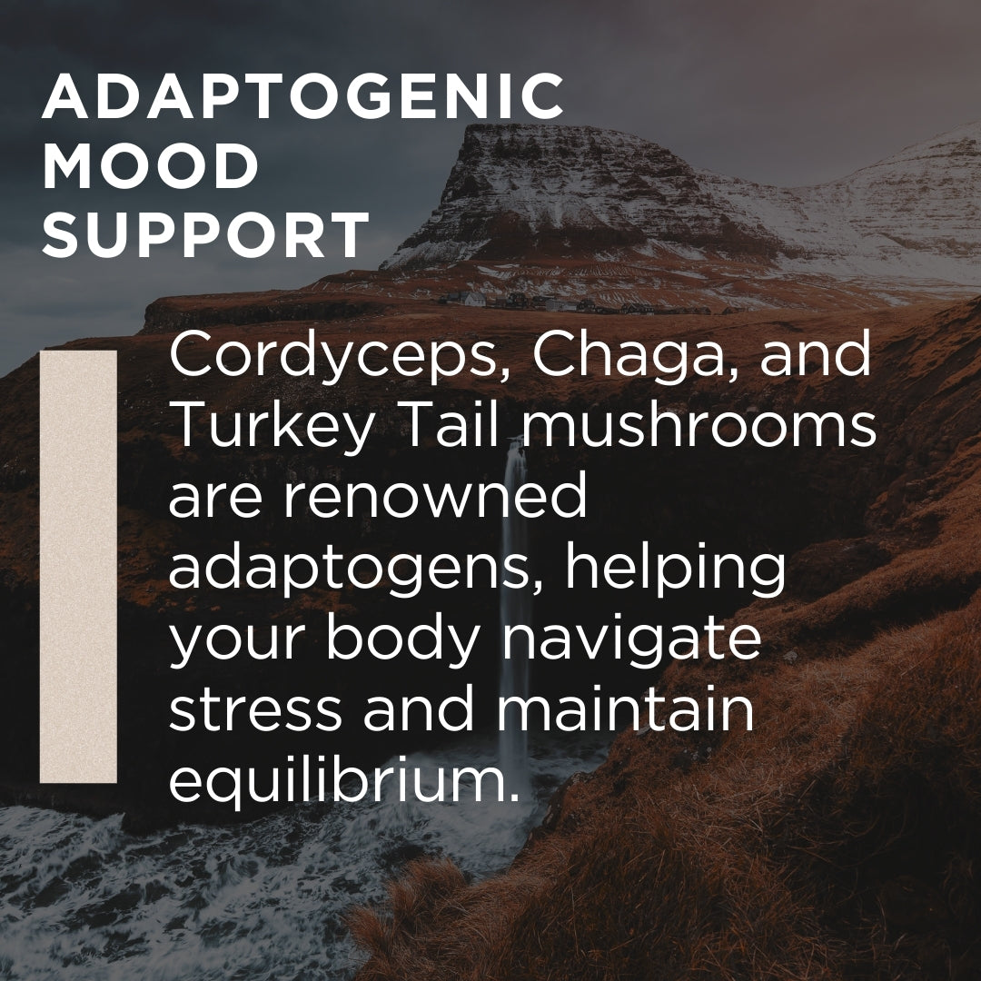 Vital Mushroom Complex Gummies, 10-Plex Mushroom, Antioxidant, Immune Fortifying, Gut-Health and Cognitive Clarity, Delicious Raspberry Flavor