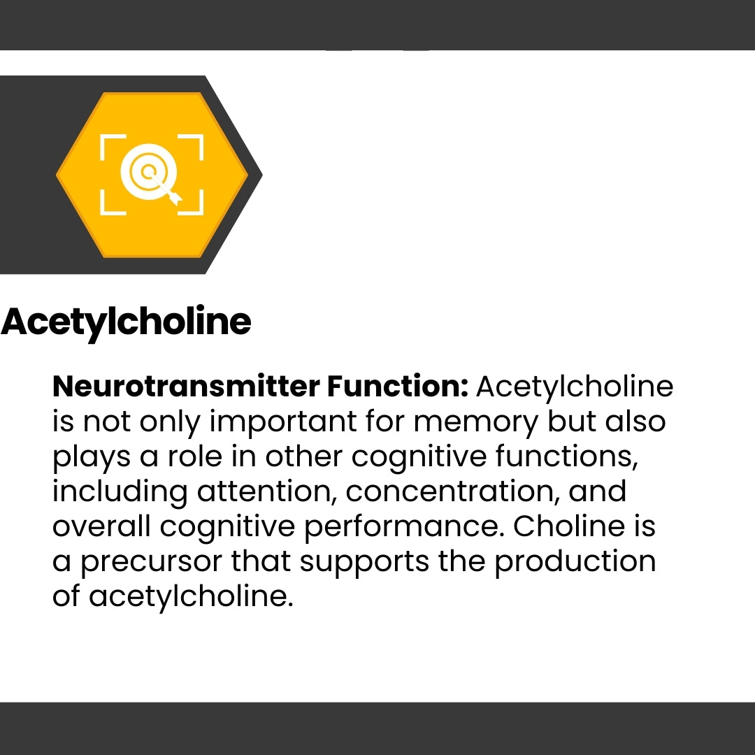 Cognisync Nootropic Brain Health Supplement, Cognitive Enhancement, Brain Fog Relief, Memory Support, Focus and Concentration, Smart Drug Alternative