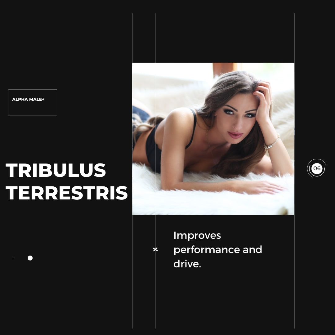 Alpha Male + Natural Hormone Supplement, Boost Energy and Sex Drive, Tribulus Terrestris, Horny Goat Weed, L-Arginine, Maca Root Powder