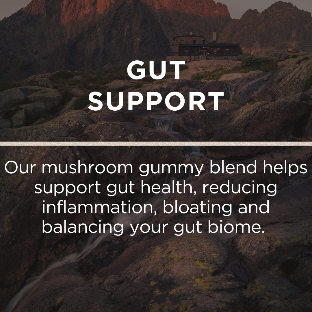 Vital Mushroom Complex Gummies, 10-Plex Mushroom, Antioxidant, Immune Fortifying, Gut-Health and Cognitive Clarity, Delicious Raspberry Flavor