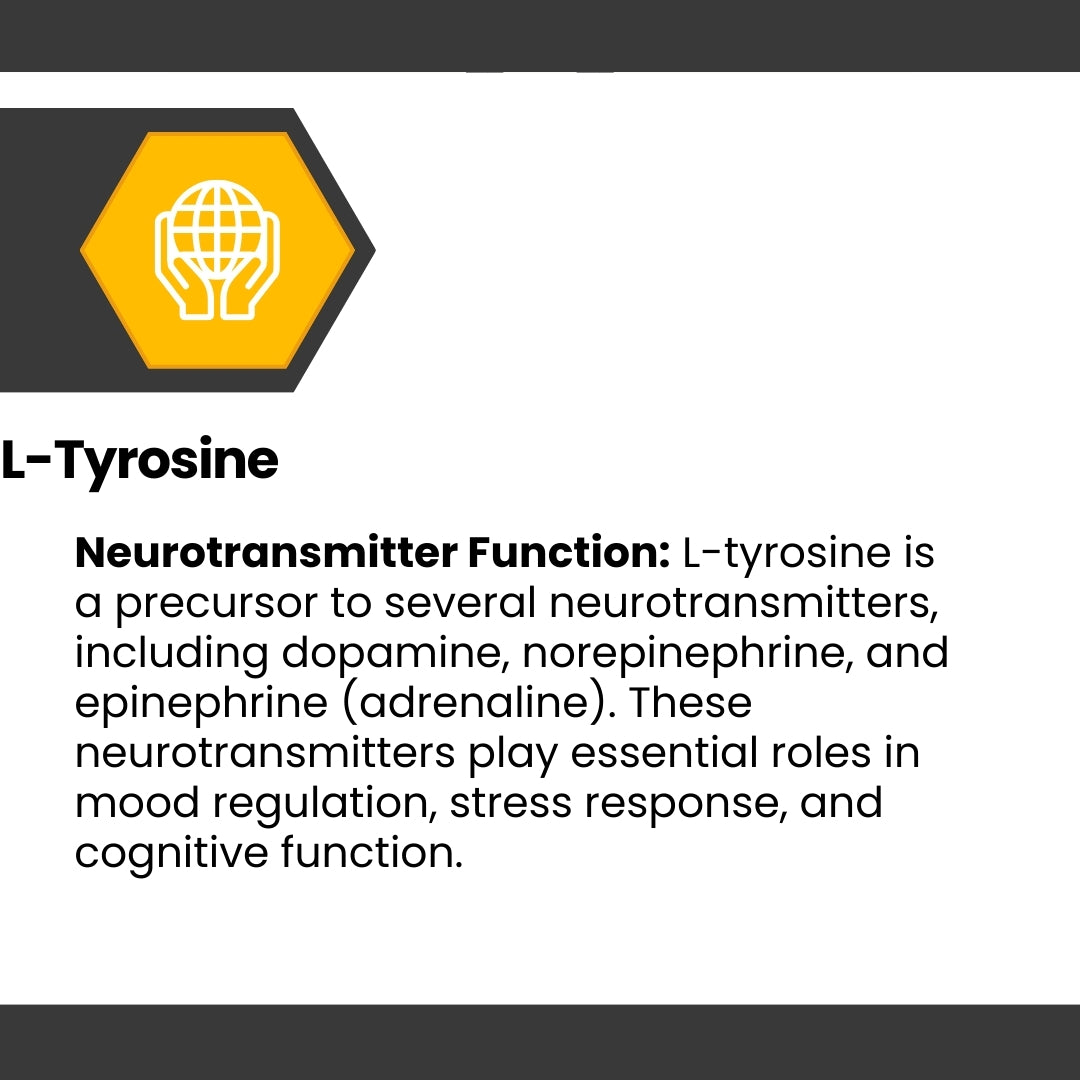 Cognisync Nootropic Brain Health Supplement, Cognitive Enhancement, Brain Fog Relief, Memory Support, Focus and Concentration, Smart Drug Alternative