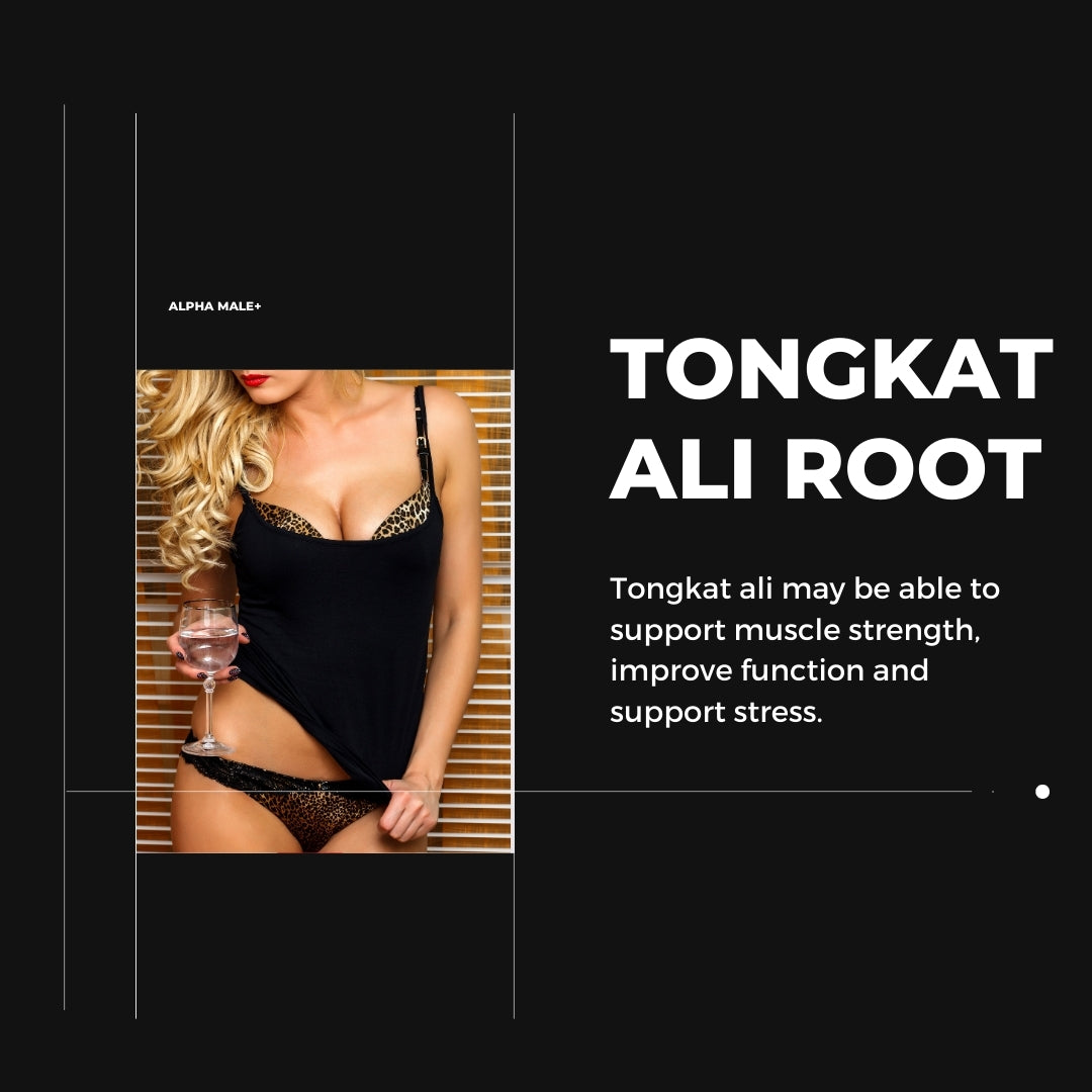 Alpha Male + Natural Hormone Supplement, Boost Energy and Sex Drive, Tribulus Terrestris, Horny Goat Weed, L-Arginine, Maca Root Powder