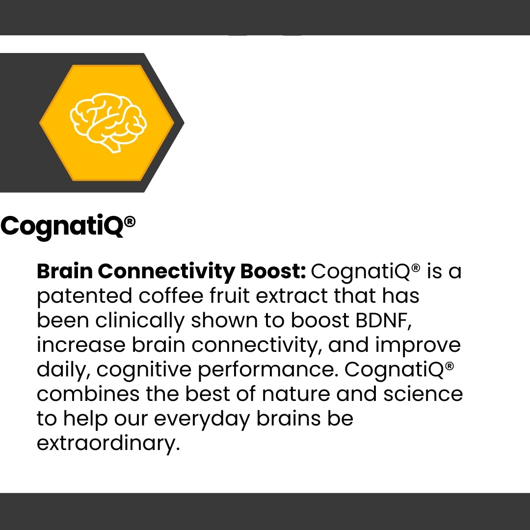 Cognisync Nootropic Brain Health Supplement, Cognitive Enhancement, Brain Fog Relief, Memory Support, Focus and Concentration, Smart Drug Alternative