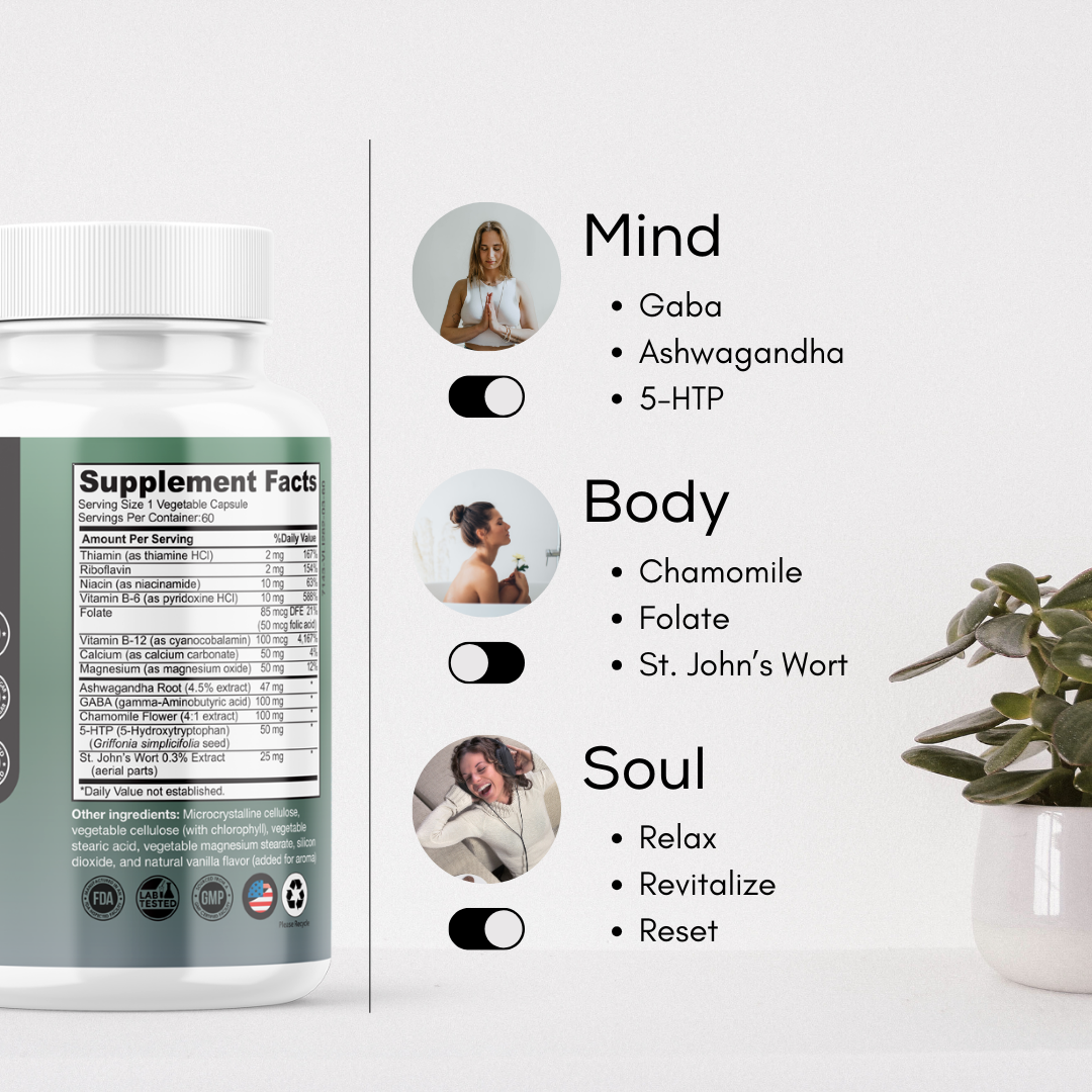 Bye-Bye Stress, GABA, Ashwagandha, Chamomile Flower, 5-HTP (5-Hydroxytryptophan), St. John's Wort